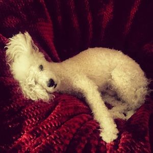 Meet your Posher, Zarina